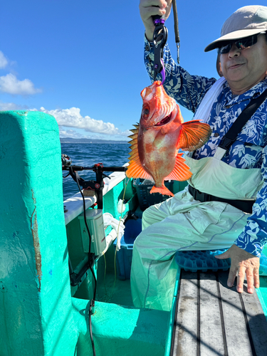 チカメキントキの釣果