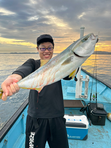 ワラサの釣果