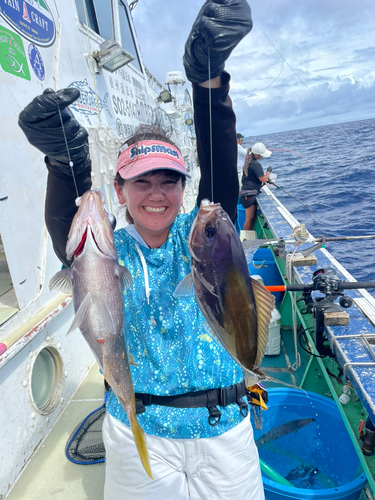 ウメイロの釣果