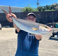 カンパチの釣果