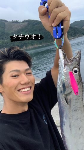 タチウオの釣果