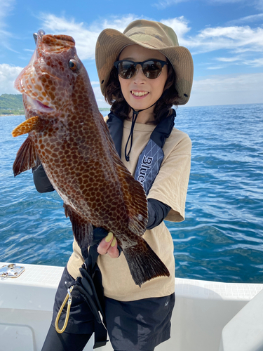 オオモンハタの釣果