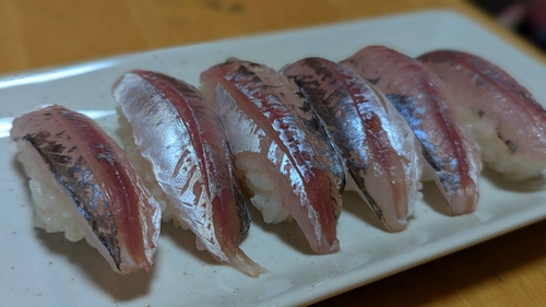 アジの釣果