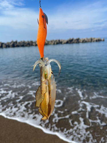 柿崎中央海水浴場