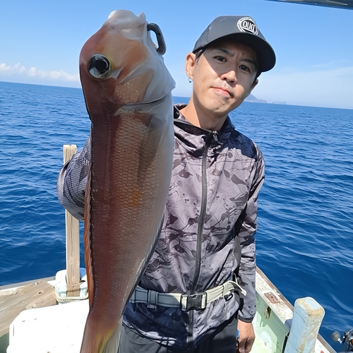 アカアマダイの釣果