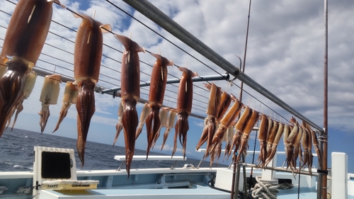 スルメイカの釣果