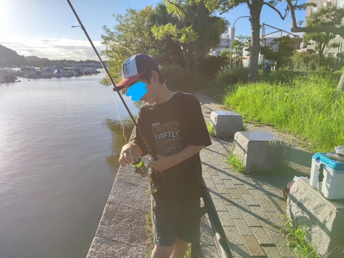 マハゼの釣果