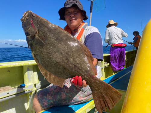 ヒラメの釣果