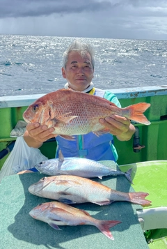 マダイの釣果