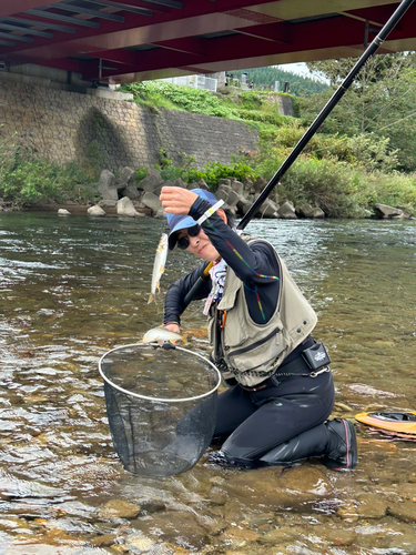 アユの釣果