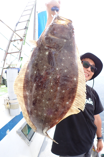 ヒラメの釣果