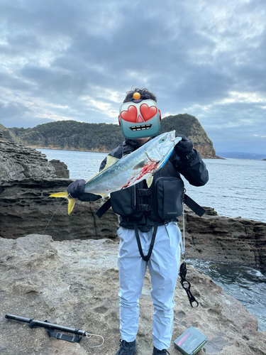 ヤズの釣果