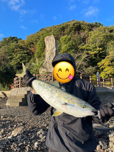 ヤズの釣果