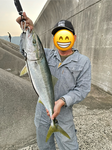 ヤズの釣果