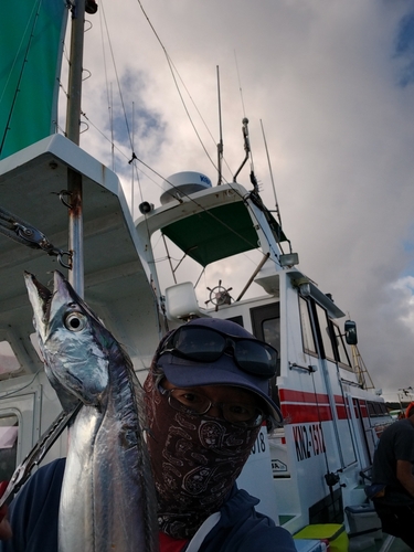 タチウオの釣果