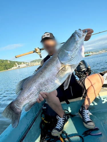 アカメの釣果