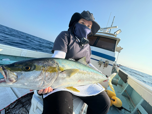 ヒラマサの釣果