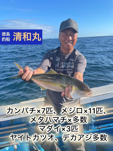 カンパチの釣果