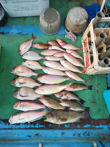 シロアマダイの釣果