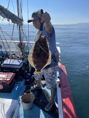 ヒラメの釣果