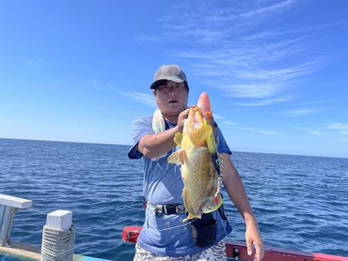 アオハタの釣果