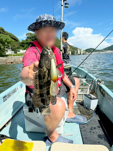 ハタの釣果