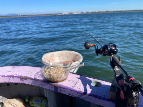 イナダの釣果