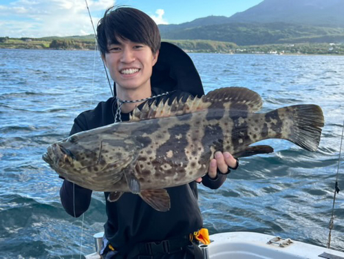 チャイロマルハタの釣果