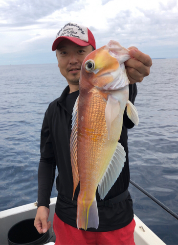 アマダイの釣果