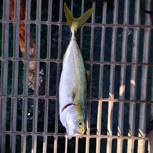 釣り公園シモツピアーランド