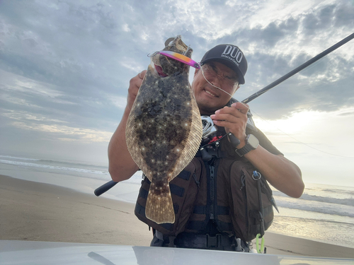 ヒラメの釣果