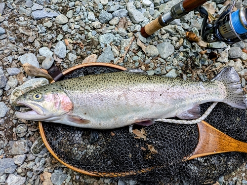 うらたんざわ渓流釣場