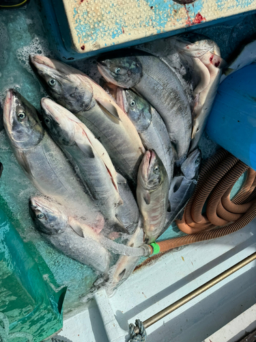 カムイワッカ湯の滝沖