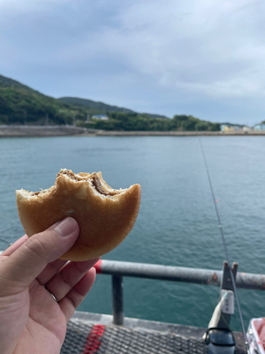 イサキの釣果