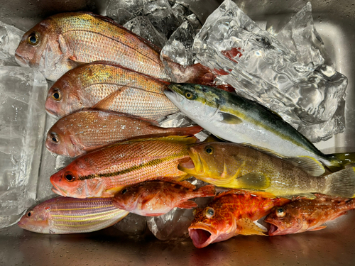 タイの釣果