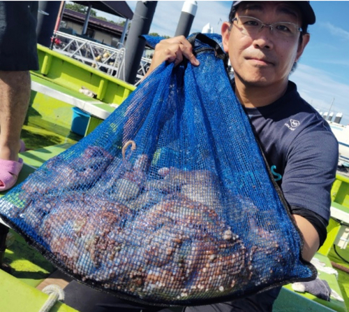 タコの釣果