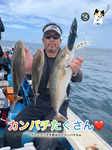 カンパチの釣果