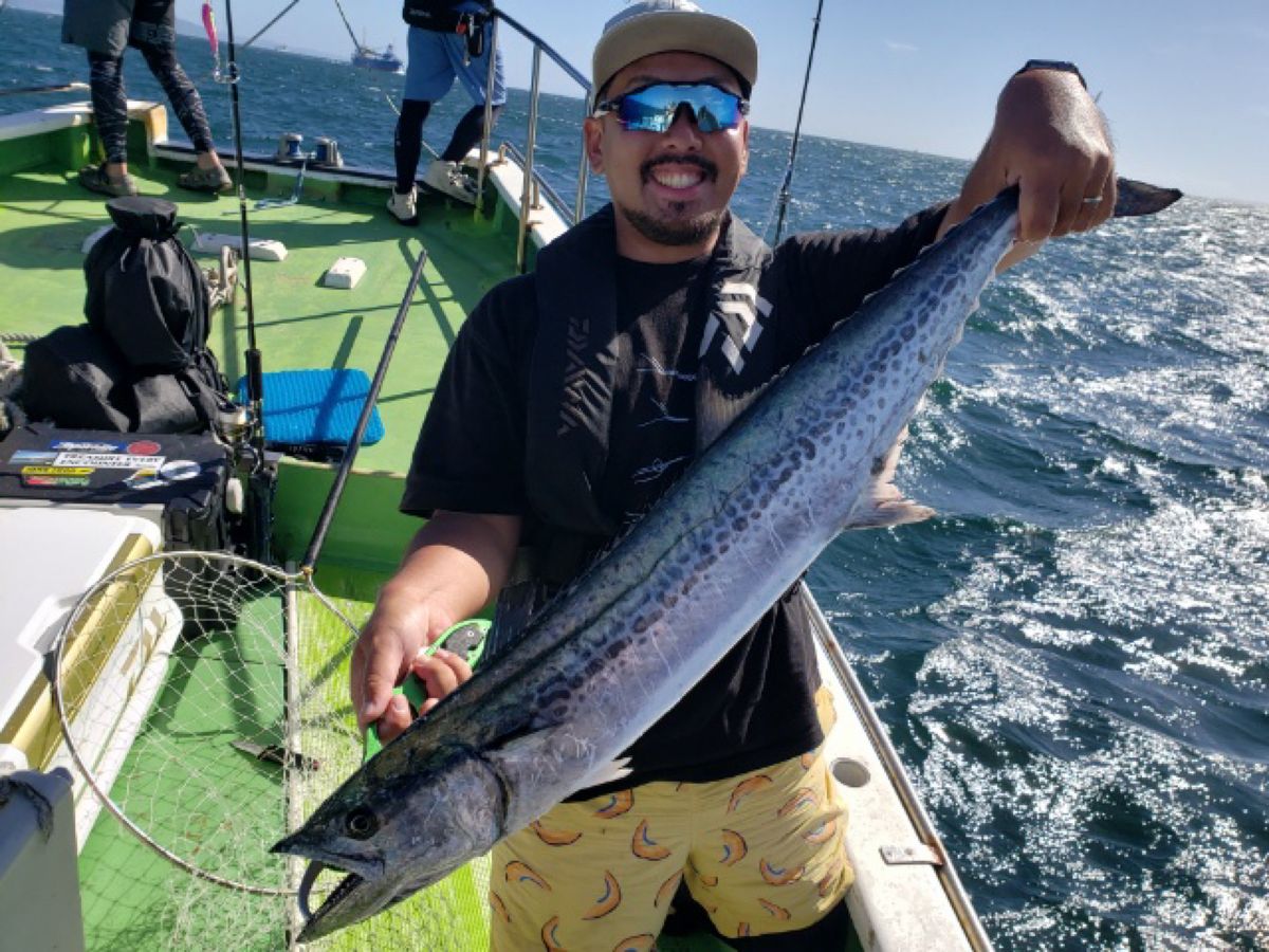 takeru@釣りしたいさんの釣果 2枚目の画像