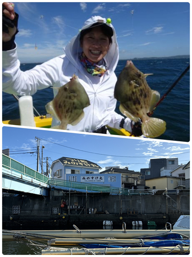 カワハギの釣果