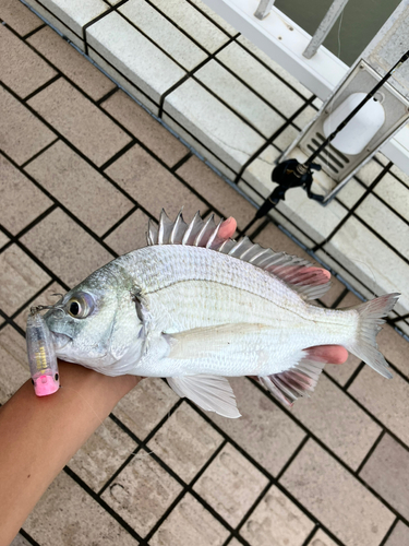 釣果