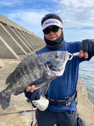 チヌの釣果