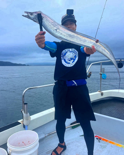 タチウオの釣果