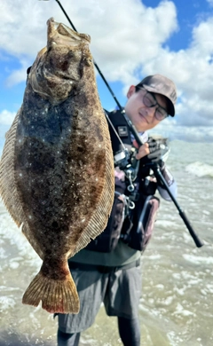 ヒラメの釣果