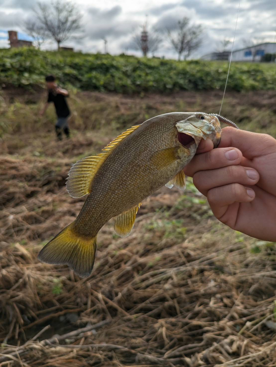 スモールマウスバス