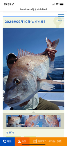 マダイの釣果