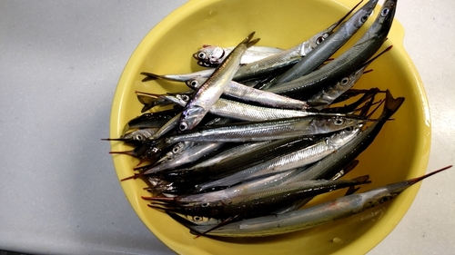 尼崎市立魚つり公園