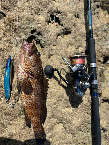 イシミーバイの釣果