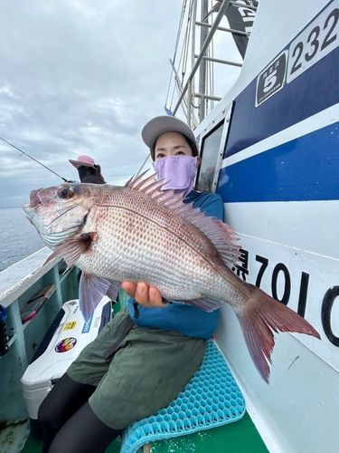 マダイの釣果