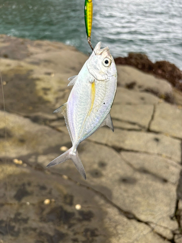 江ノ島表磯