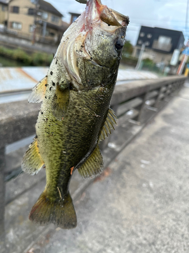 木浜3号水路